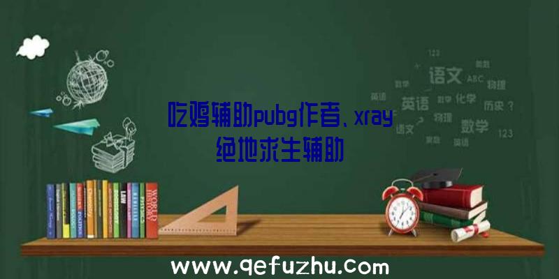 吃鸡辅助pubg作者、xray绝地求生辅助