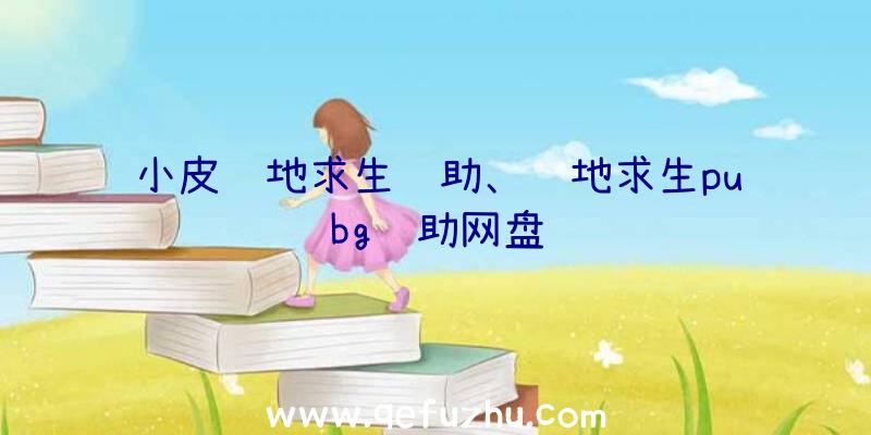 小皮绝地求生辅助、绝地求生pubg辅助网盘