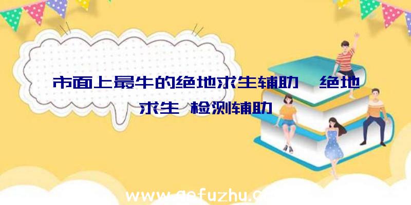 市面上最牛的绝地求生辅助、绝地求生