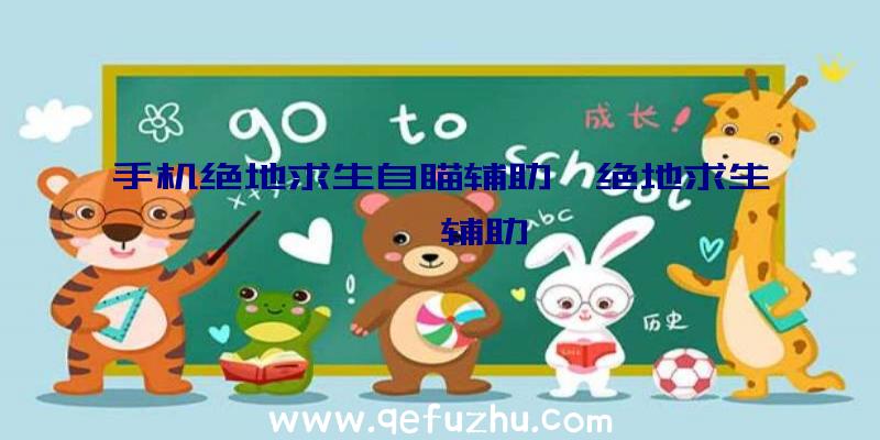 手机绝地求生自瞄辅助、绝地求生迪迦辅助