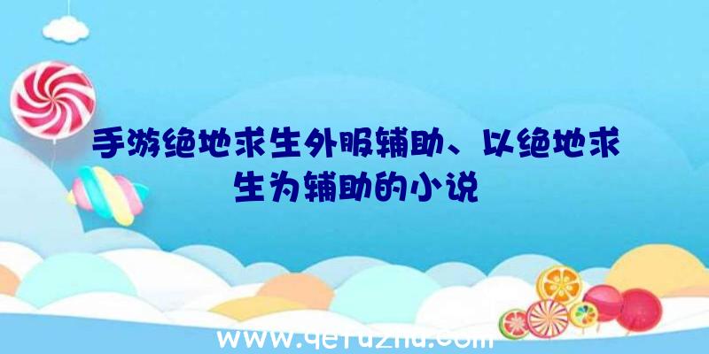 手游绝地求生外服辅助、以绝地求生为辅助的小说
