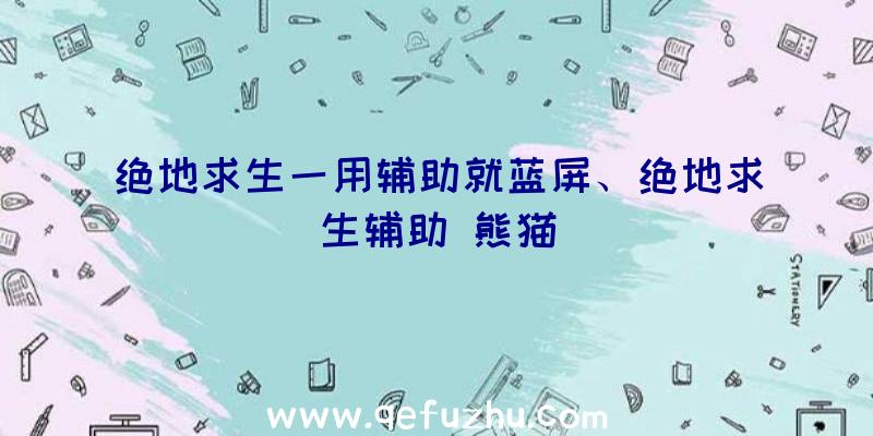 绝地求生一用辅助就蓝屏、绝地求生辅助
