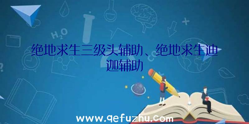 绝地求生三级头辅助、绝地求生迪迦辅助