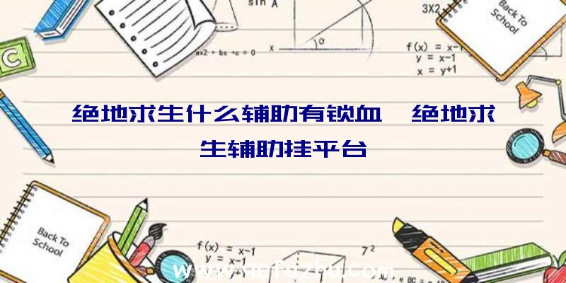 绝地求生什么辅助有锁血、绝地求生辅助挂平台