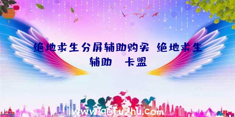 绝地求生分屏辅助购买、绝地求生辅助fz卡盟