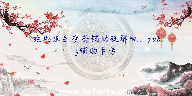 绝地求生变态辅助破解版、pubg辅助卡号