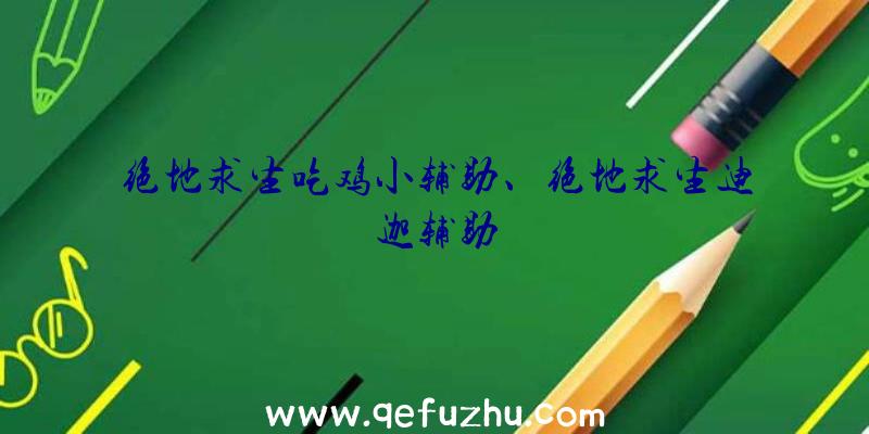 绝地求生吃鸡小辅助、绝地求生迪迦辅助