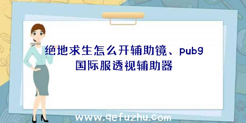 绝地求生怎么开辅助镜、pubg国际服透视辅助器