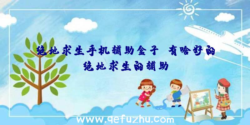 绝地求生手机辅助盒子、有啥好的绝地求生的辅助