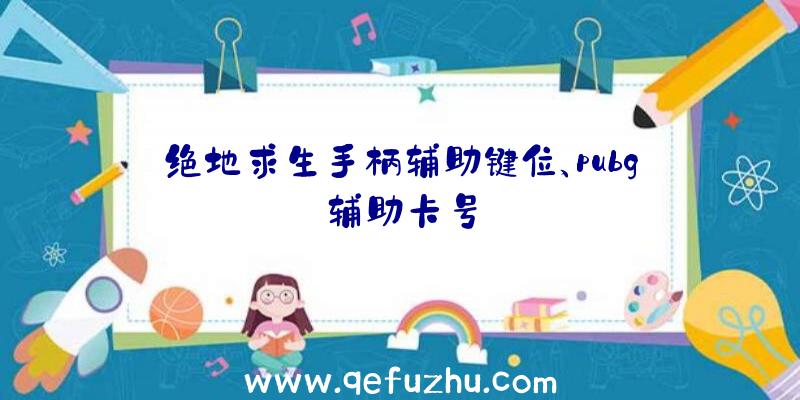 绝地求生手柄辅助键位、pubg辅助卡号