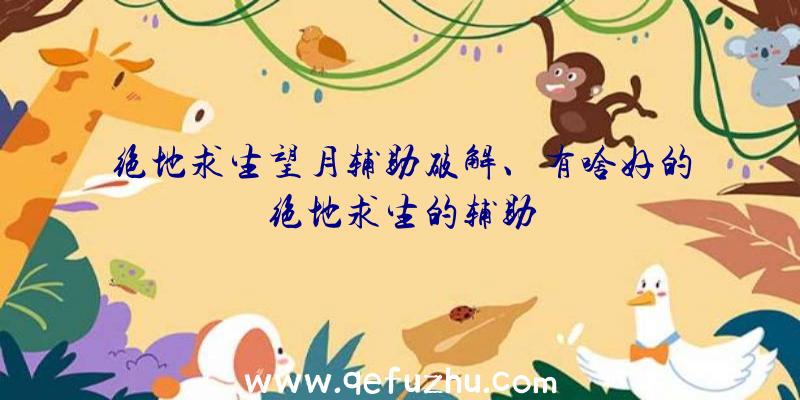 绝地求生望月辅助破解、有啥好的绝地求生的辅助