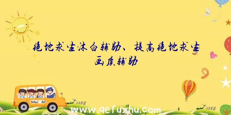 绝地求生沐白辅助、提高绝地求生画质辅助