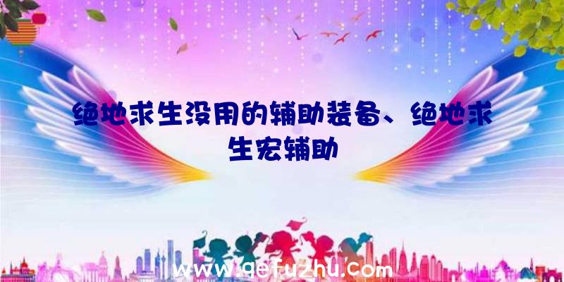 绝地求生没用的辅助装备、绝地求生宏辅助