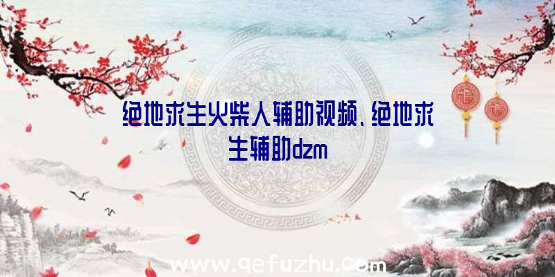 绝地求生火柴人辅助视频、绝地求生辅助dzm