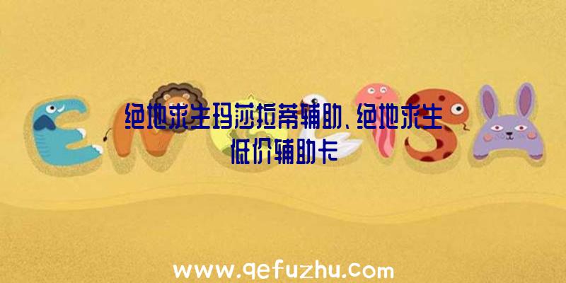 绝地求生玛莎拉蒂辅助、绝地求生低价辅助卡