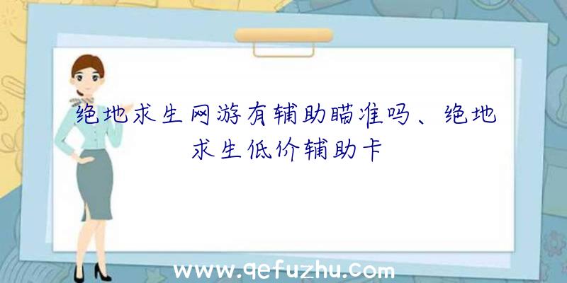 绝地求生网游有辅助瞄准吗、绝地求生低价辅助卡