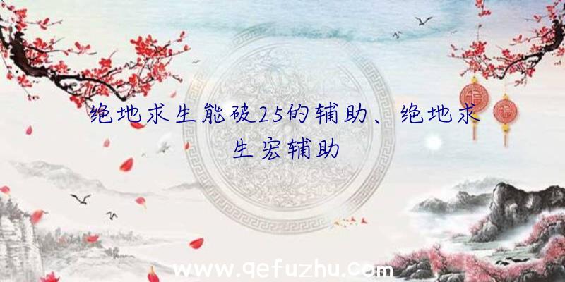 绝地求生能破25的辅助、绝地求生宏辅助
