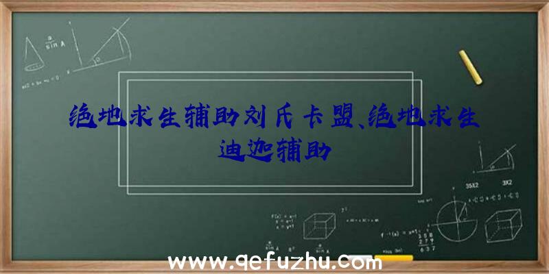 绝地求生辅助刘氏卡盟、绝地求生迪迦辅助