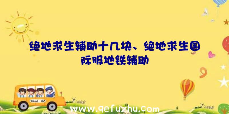 绝地求生辅助十几块、绝地求生国际服地铁辅助