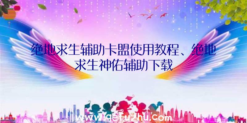 绝地求生辅助卡盟使用教程、绝地求生神佑辅助下载