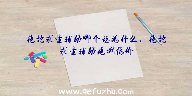 绝地求生辅助哪个稳为什么、绝地求生辅助绝影低价