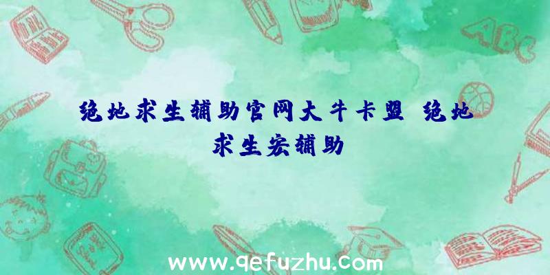 绝地求生辅助官网大牛卡盟、绝地求生宏辅助