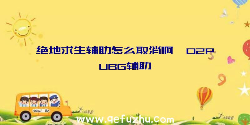 绝地求生辅助怎么取消啊、02PUBG辅助