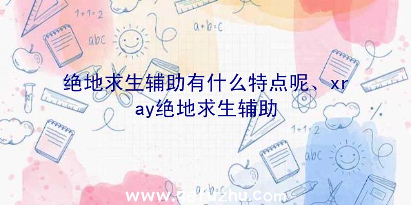 绝地求生辅助有什么特点呢、xray绝地求生辅助
