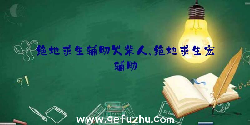绝地求生辅助火柴人、绝地求生宏辅助