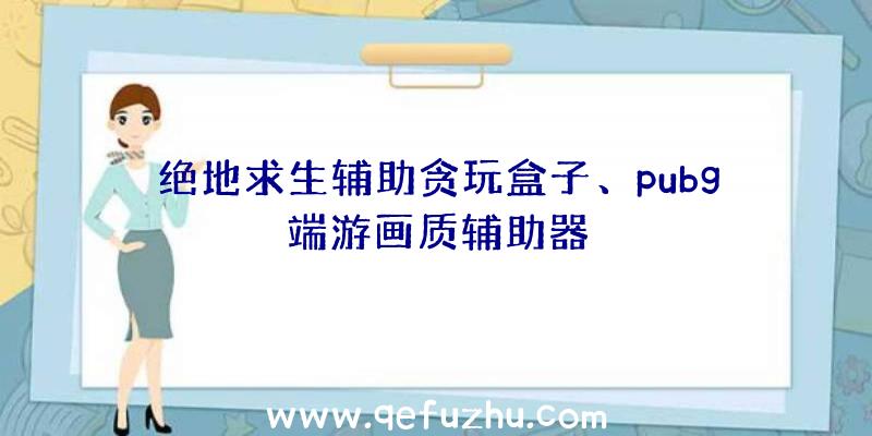 绝地求生辅助贪玩盒子、pubg端游画质辅助器