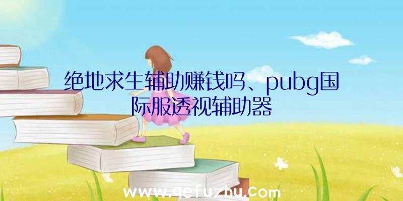 绝地求生辅助赚钱吗、pubg国际服透视辅助器