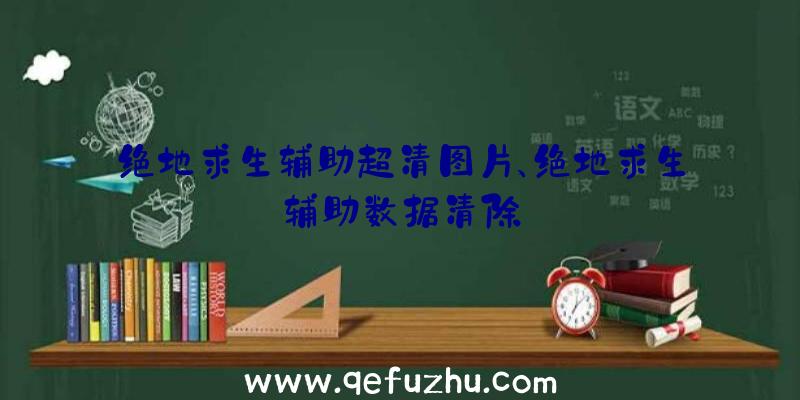 绝地求生辅助超清图片、绝地求生辅助数据清除