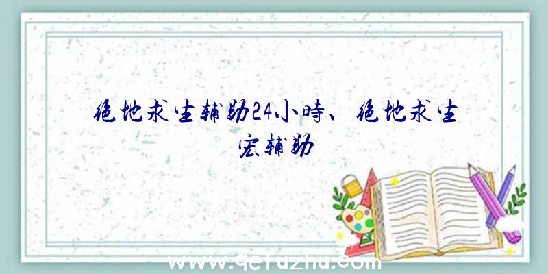 绝地求生辅助24小时、绝地求生宏辅助