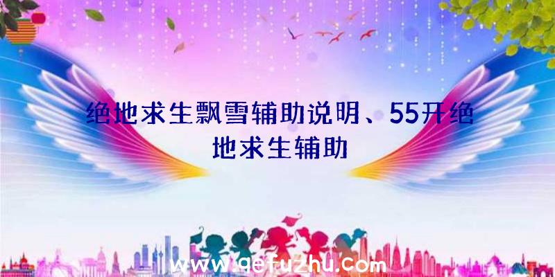 绝地求生飘雪辅助说明、55开绝地求生辅助