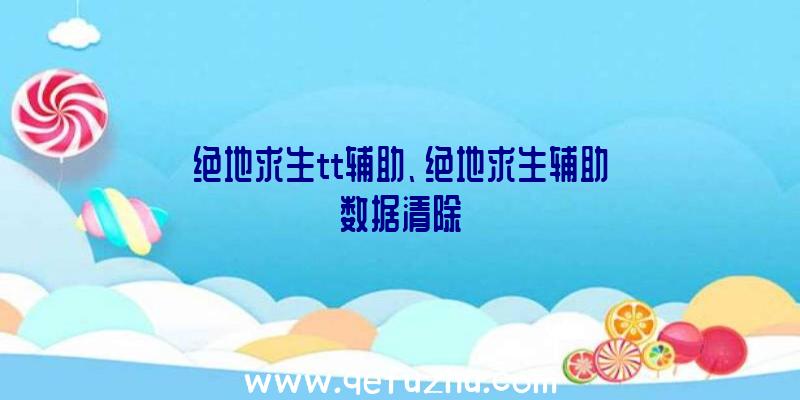 绝地求生tt辅助、绝地求生辅助数据清除