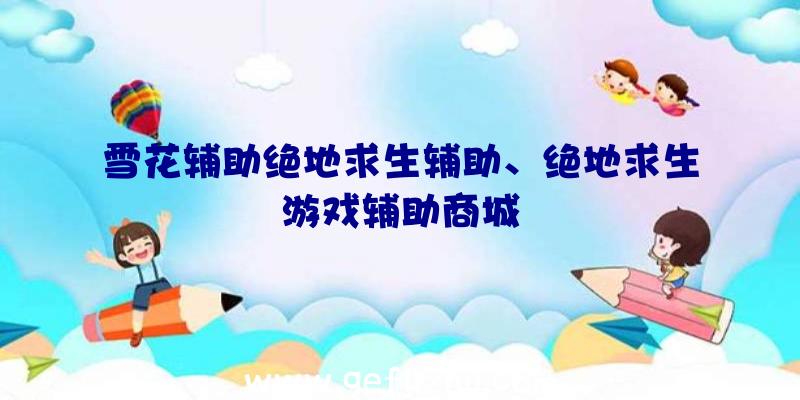 雪花辅助绝地求生辅助、绝地求生游戏辅助商城