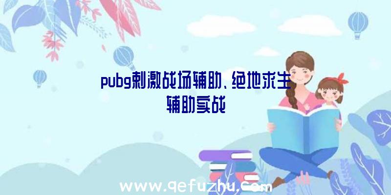pubg剌激战场辅助、绝地求生辅助实战