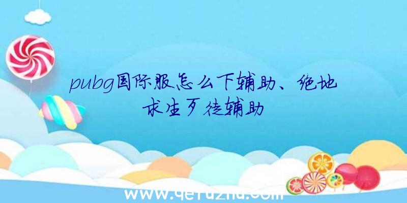 pubg国际服怎么下辅助、绝地求生歹徒辅助