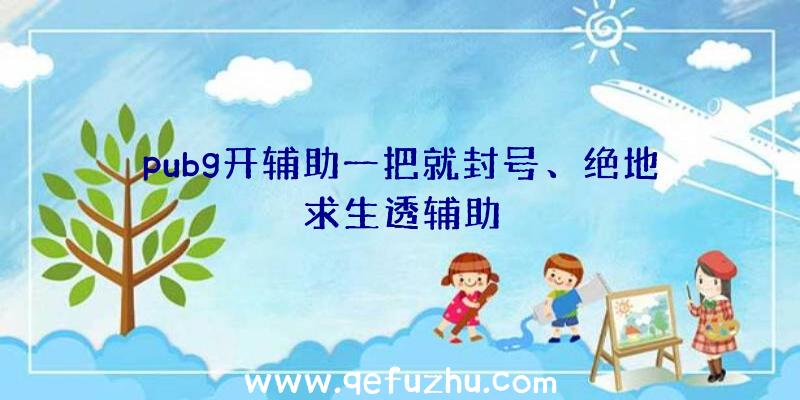 pubg开辅助一把就封号、绝地求生透辅助