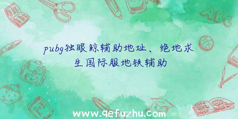pubg独眼鲸辅助地址、绝地求生国际服地铁辅助
