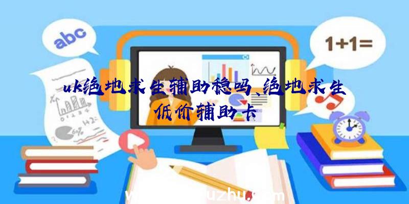 uk绝地求生辅助稳吗、绝地求生低价辅助卡