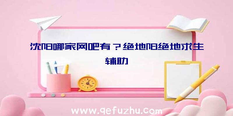 沈阳哪家网吧有？绝地阳绝地求生辅助