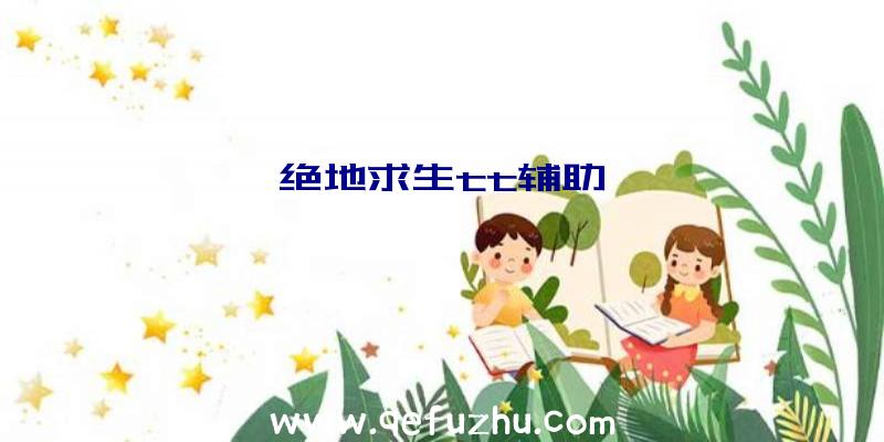 绝地求生tt辅助