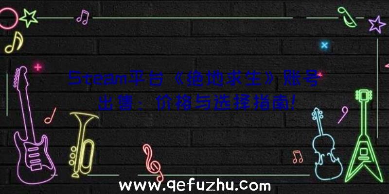 Steam平台《绝地求生》账号出售：价格与选择指南！