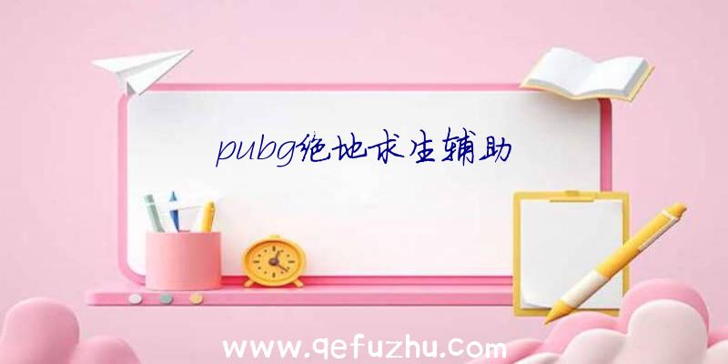 pubg绝地求生辅助