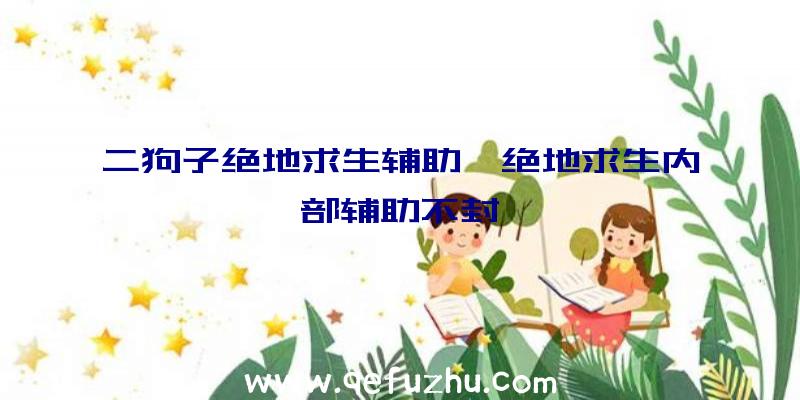 二狗子绝地求生辅助、绝地求生内部辅助不封