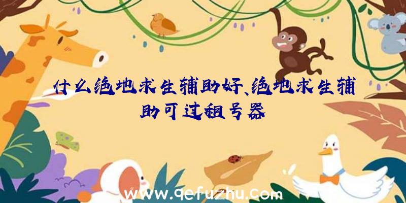什么绝地求生辅助好、绝地求生辅助可过租号器