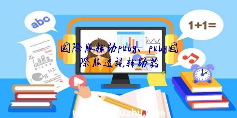 国际服辅助pubg、pubg国际服透视辅助器