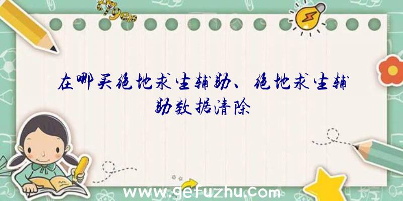在哪买绝地求生辅助、绝地求生辅助数据清除