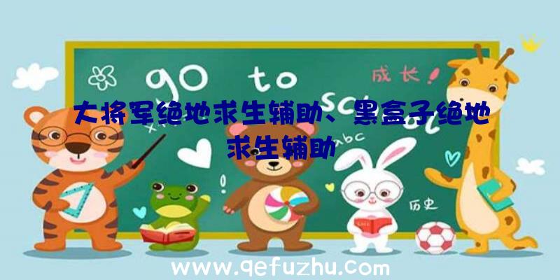 大将军绝地求生辅助、黑盒子绝地求生辅助